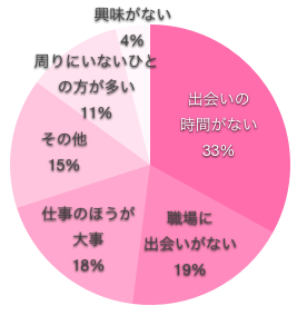 看護師の彼氏がいない原因の円グラフ